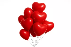 Vše pro Vaší oslavu